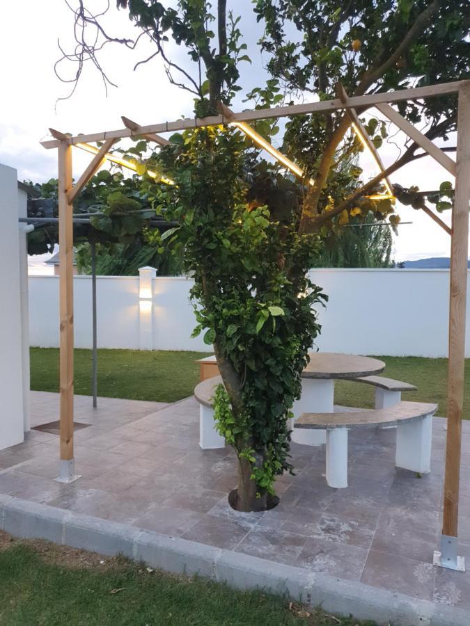 Casa Flor Delfin Ribadeo Villa Exterior photo